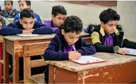موعد ظهور نتيجة الفصل الثاني 2026 لصفوف النقل وكيفية الاستعلام برابط مباشر