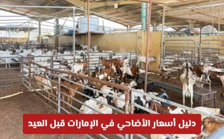 شرطة دبي تحذر الموردين يكشفون عن أسعار الأضاحي في الإمارات قبل حلول عيد الأضحى