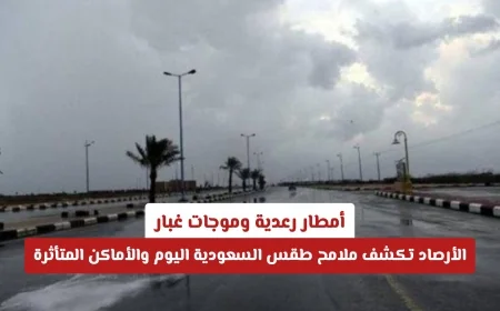 الأرصاد تعلن: أمطار رعدية وموجات غبار تؤثر على طقس السعودية اليوم والأماكن المتأثرة