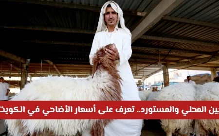 اكتشف أسعار الأضاحي في الكويت لهذا العام بين الخيارات المحلية والمستوردة