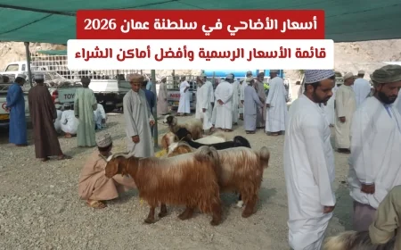 أسعار الأضاحي في سلطنة عمان 2026: تعرف على القائمة الرسمية وأفضل أماكن شراء الأضاحي البلدية والمستوردة