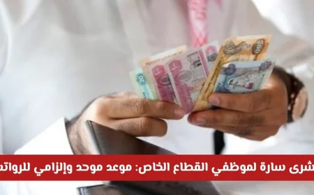 موعد موحد للرواتب يبعث الأمل لموظفي القطاع الخاص في الإمارات