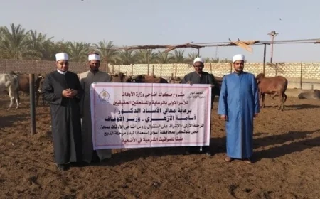 الأوقاف تكثف جهودها لتجهيز الأضاحي بمجازر أبو سمبل قبيل عيد الأضحى المبارك