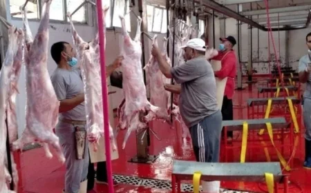 القاهرة توفر المجازر الحكومية مجاناً خلال أيام عيد الأضحى المبارك