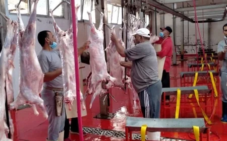 ذبح 10000 أضحية مجانا في المجازر الحكومية خلال أول أيام عيد الأضحى