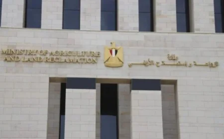 الزراعة تعلن عن ذبح 12000 أضحية بالمجان في المجازر الحكومية خلال ثاني أيام العيد