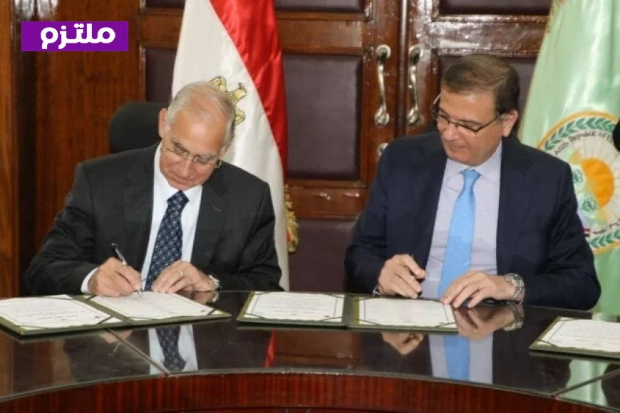 تعاون ثلاثي لتحسين سلالات الماشية في مصر ويعزز الإنتاج الحيواني