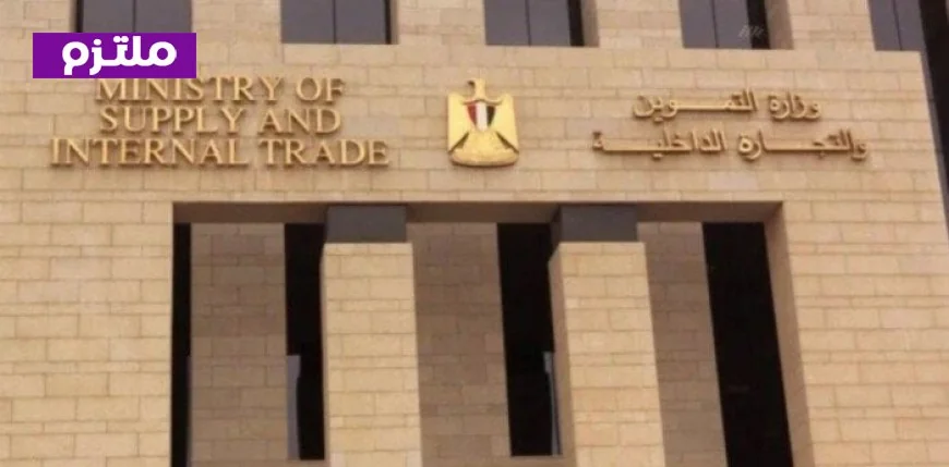 التموين تنفذ فحصا ميدانيا لعروض بيع الدواجن بسعر منخفض على منصات التواصل الاجتماعي