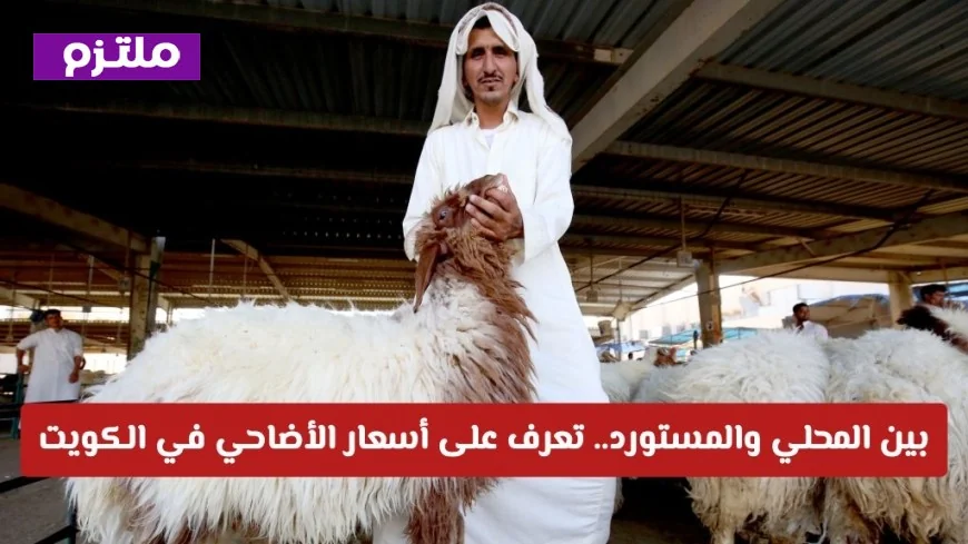 أسعار الأضاحي في الكويت 2023 بين المحلي والمستورد: كل ما تحتاج معرفته