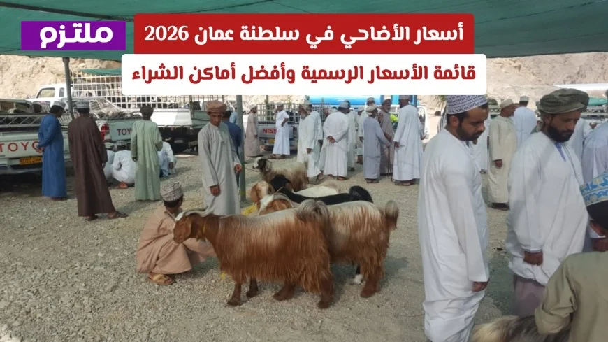 تعرف على تفاصيل أسعار الأضاحي في سلطنة عمان 2026 وأفضل الخيارات للشراء بين البلدي والمستورد