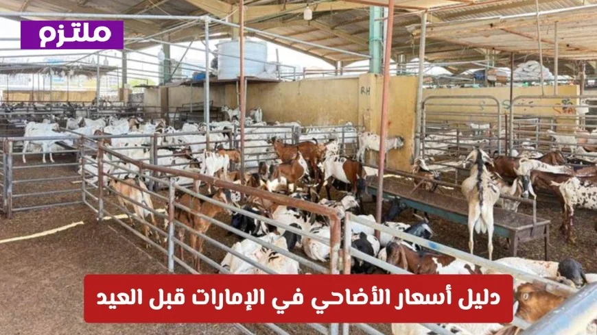 تحذير من شرطة دبي وكشف أسعار الأضاحي.. دليل شامل لأسعار الأضاحي في الإمارات قبل العيد