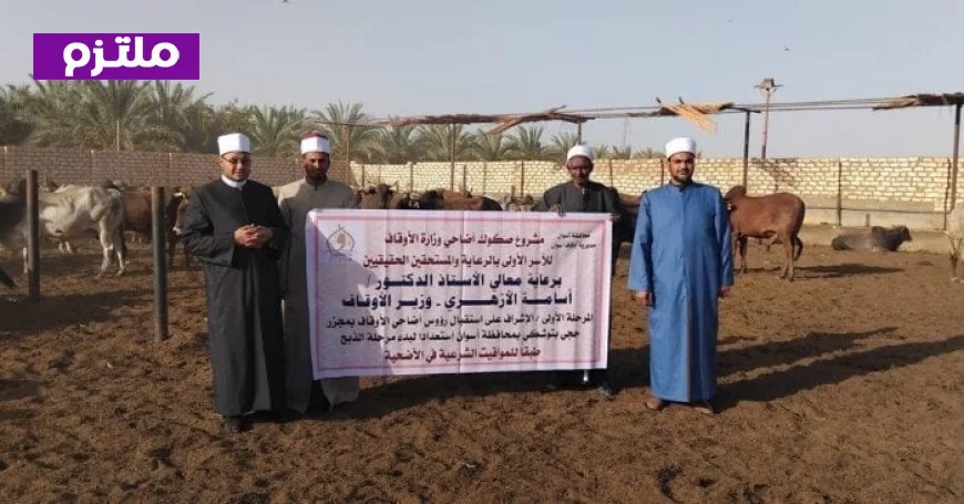 الأوقاف تكثف جهودها لتجهيز الأضاحي بمجازر أبو سمبل قبيل عيد الأضحى المبارك