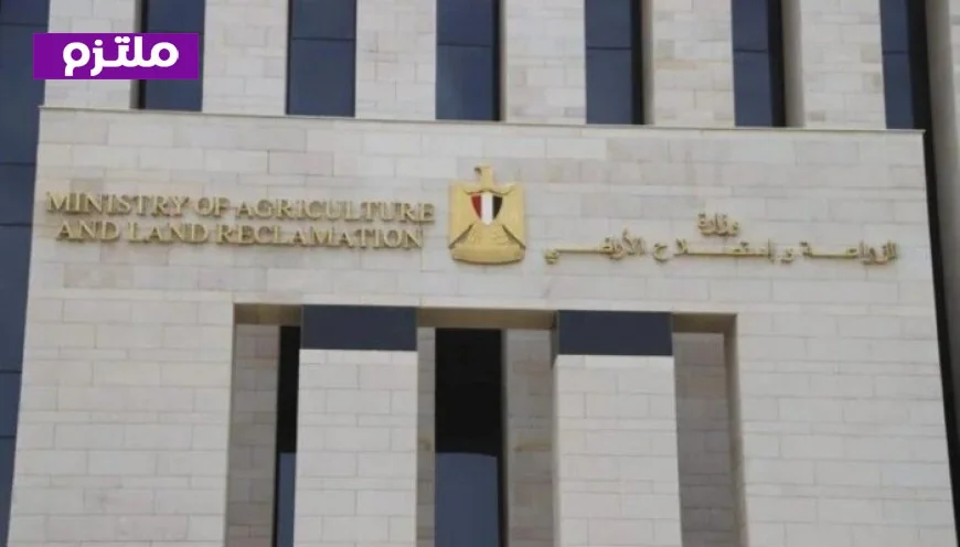 الزراعة تعلن عن ذبح 12000 أضحية بالمجان في المجازر الحكومية خلال ثاني أيام العيد