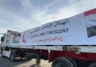 الدفعة 209 من شاحنات المساعدات تتجه نحو غزة لتعزيز الدعم الإنساني