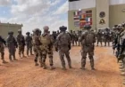 موعد صدور نتائج الشهادة الإعدادية 2026 في جميع المحافظات