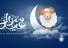 ورشة عمل من «قومي المرأة» لتعزيز المشاريع الخضراء الذكية وتمكين الشباب والنساء