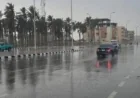 رئيس الوزراء يراقب تقدم تنفيذ المشاريع الخدمية والتنموية الفريدة في الوادي الجديد
