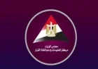 مصر تتصدر قائمة أكبر مستهلكي الغاز الطبيعي في أفريقيا لعام 2024