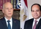استمرار جولات معرض كنوز الفراعنة و7 قرارات هامة تصدر عن اجتماع الحكومة الأسبوعي