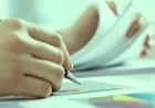 امتحانات الثانوية العامة 2026 تشدد إجراءات حظر الهواتف على الطلاب والمعلمين داخل اللجان