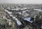 فرنسا تثني على جهود القيادة المصرية لحل أزمة غزة وتعزيز الاستقرار في المنطقة