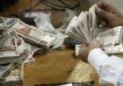 نقابة أصحاب المعاشات تكشف عن متوسط الصرف وتقترح تطبيق زيادات جديدة بنظام الشرائح لتحسين المستفيدين