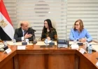 التضامن تدعم خدمات ذوي الإعاقة من خلال تعزيز استخدام منصة تأهيل