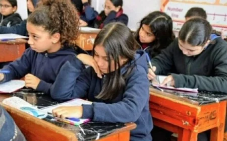 نتيجة صفوف النقل بالجيزة 2026 تكشف التعليم سبب التأخير وتوفر رابط الاستعلام الرسمي