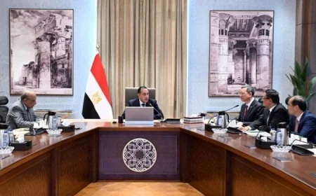 مصر والصين تعززان التعاون في مجالات الطاقة المتجددة وتحلية مياه البحر