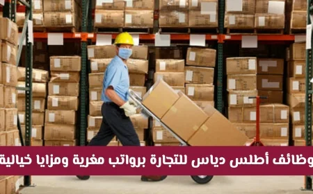 تقديم طلبات التوظيف في شركة أطلس دياس في قطر الآن: رواتب رائعة ومزايا لا تصدق
