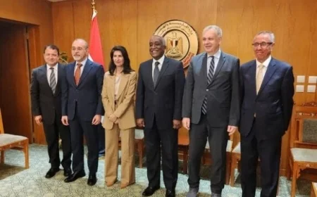 مصر وألمانيا تتعاونان في مشاورات سياسية لدعم القضايا الأفريقية