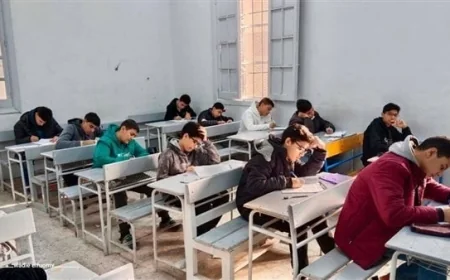 استعلم عن نتيجة صفوف النقل من خلال بوابة محافظة الجيزة 2026 بطريقة سهلة وآمنة