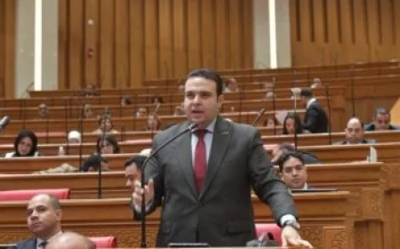 الرئيس السيسي ي reaffirm دعم مصر القوي لسيادة إريتريا وحماية أراضيها