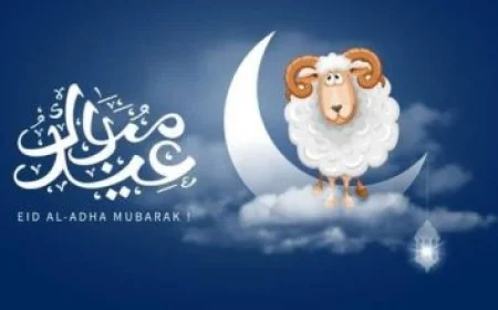 ورشة عمل من «قومي المرأة» لتعزيز المشاريع الخضراء الذكية وتمكين الشباب والنساء