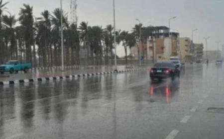 رئيس الوزراء يراقب تقدم تنفيذ المشاريع الخدمية والتنموية الفريدة في الوادي الجديد