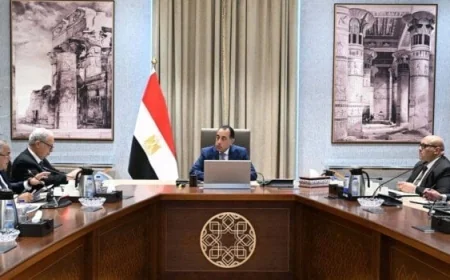 رئيس الوزراء يتابع تقدم خطة إعادة هيكلة الشركات الحكومية مع 6 نقاط رئيسية