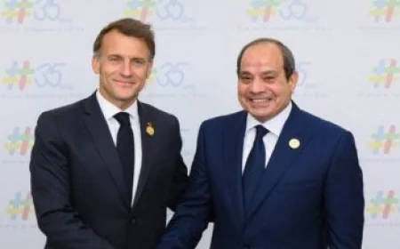 عبد العاطي والأزهري يعززان التعاون لدعم جهود مصر في مكافحة التطرف وتعزيز الأمن