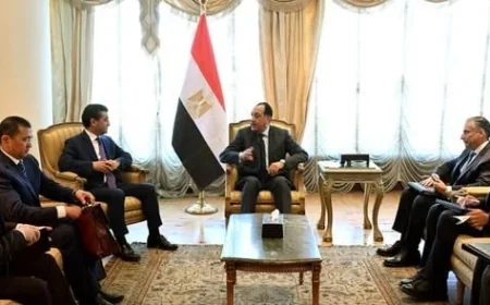 مصر وأوزبكستان تتعاونان في الصناعات السيارات والأسمدة والمواد الكيميائية لتعزيز الروابط الاقتصادية