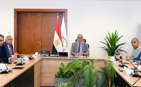 وزير الري يعلن عن تكلفة 1.66 مليار جنيه لمشروع الإدارة المرنة مائيا في وادي النيل