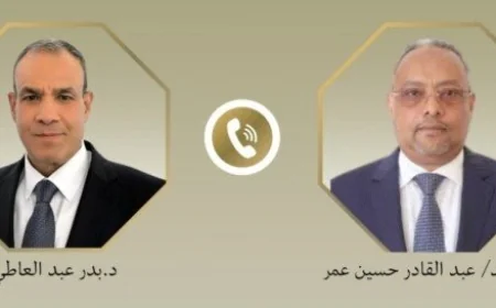 وزير الخارجية يبحث مع نظيره الجيبوتي تعزيز العلاقات الثنائية وآخر تطورات القرن الأفريقي