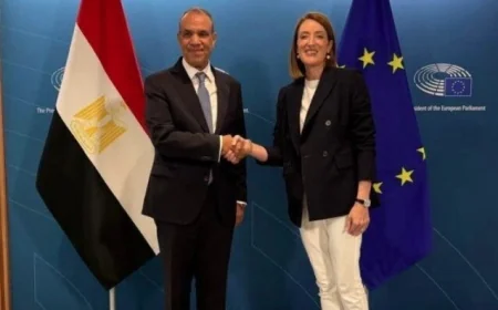 وزير الخارجية يبرز أهمية تعزيز التعاون البرلماني بين مصر والاتحاد الأوروبي