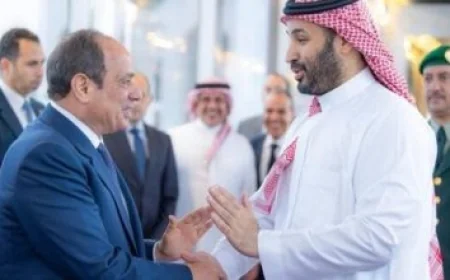 البرلمان المصري يبحث انضمام مصر لاتفاقية التجارة التفضيلية للدول الثماني النامية