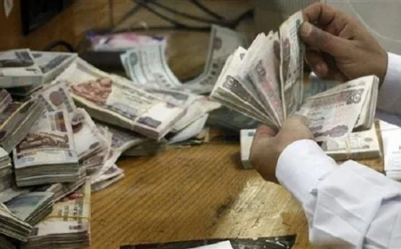 نقابة أصحاب المعاشات تكشف عن متوسط الصرف وتقترح تطبيق زيادات جديدة بنظام الشرائح لتحسين المستفيدين