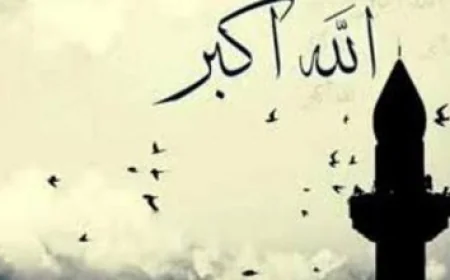 هواوي مصر تعلن عن 3000 فرصة عمل جديدة وتعزز شراكتها مع وزارة العمل في التدريب