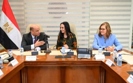 التضامن تدعم خدمات ذوي الإعاقة من خلال تعزيز استخدام منصة تأهيل