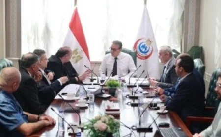 الرئيس السيسي يؤكد أن حل القضية الفلسطينية هو أساس السلام المستدام في المنطقة