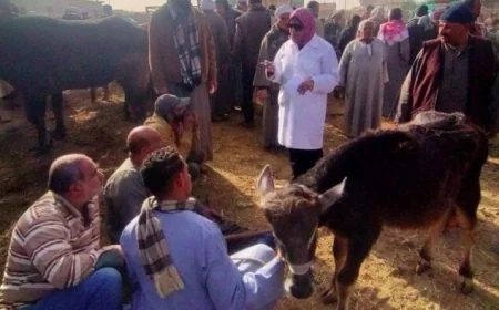 18 ألف زيارة ميدانية لتكثيف الإنذار المبكر في وزارة الزراعة لحماية الثروة الحيوانية والداجنة