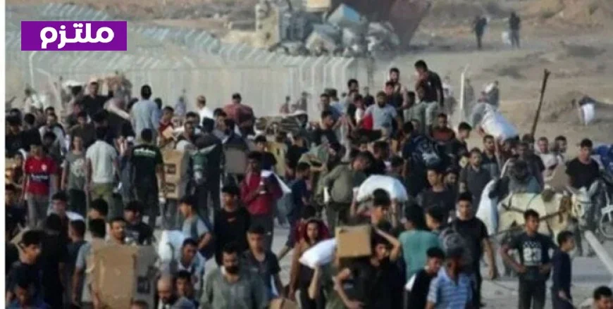 مأساة أطفال فلسطين ولبنان تستدعي تحركًا دوليًا عاجلًا لوقف عدوان الاحتلال وفقًا للأوقاف