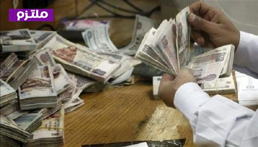 نقابة أصحاب المعاشات تكشف عن متوسط الصرف وتقترح تطبيق زيادات جديدة بنظام الشرائح لتحسين المستفيدين
