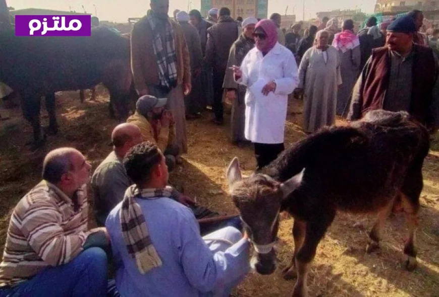 18 ألف زيارة ميدانية لتكثيف الإنذار المبكر في وزارة الزراعة لحماية الثروة الحيوانية والداجنة